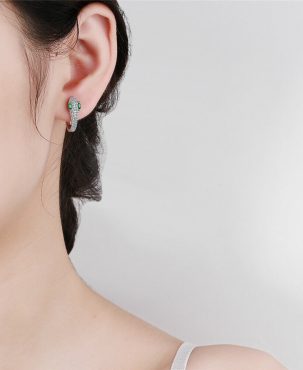 Snake Hoop Crystal Earrings