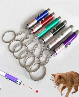 Red Laser Lazer Pointer Pen + LED Light Torch 2 in 1 New Cat Dog Toy Keyring