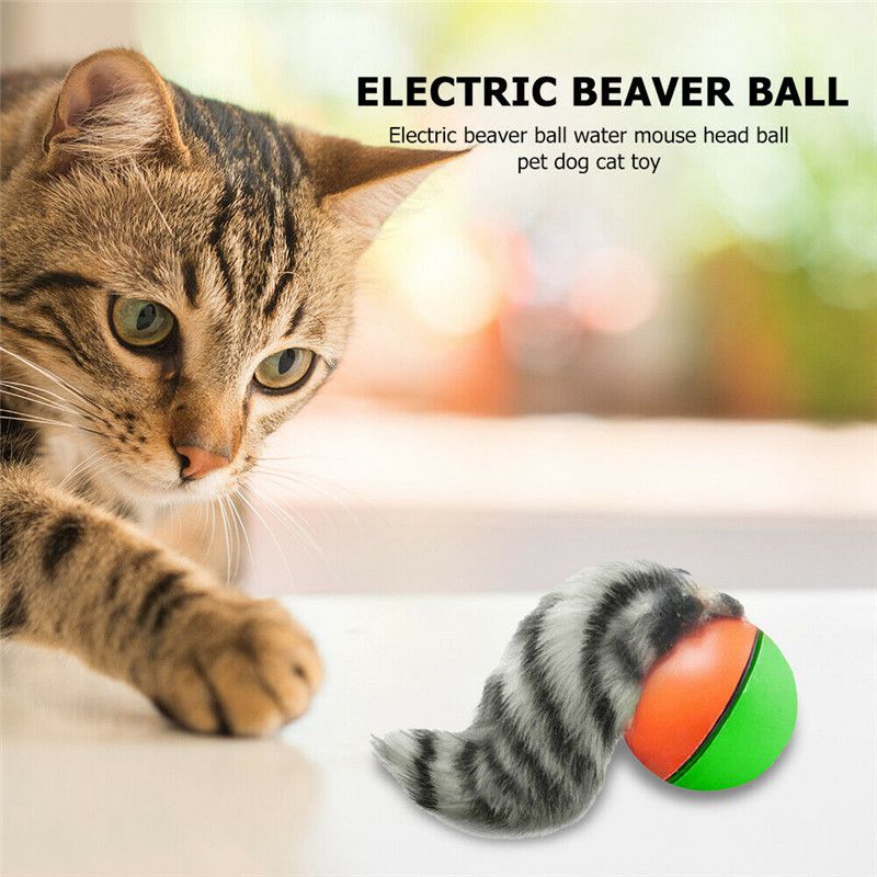 Electric Beaver Weasel Rolling Ball Pet Dog Cat Toy Kitten Chasing Toys Gift - 图片 3