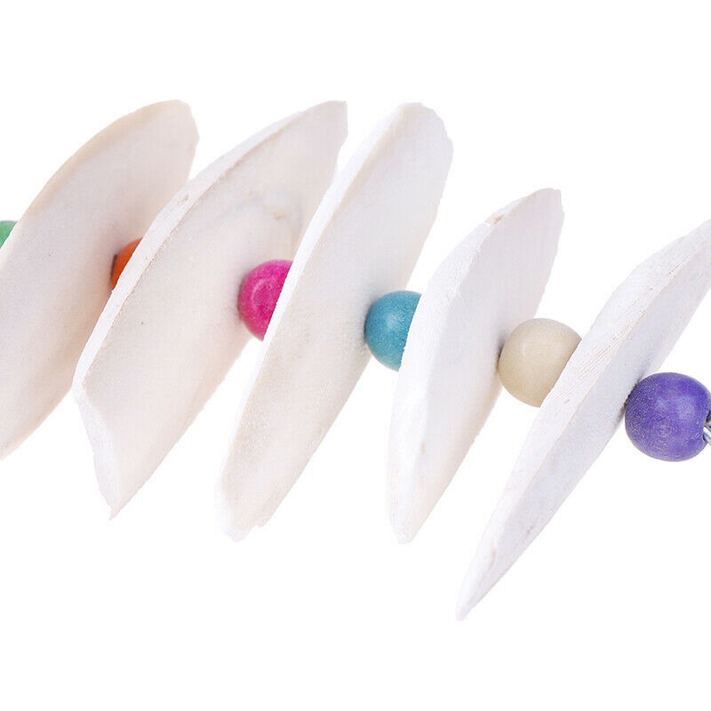 Cuttlefish Bone Bird Toys Parrots Budgie Pets Perch Parakeet Cage Supplies - Image 4