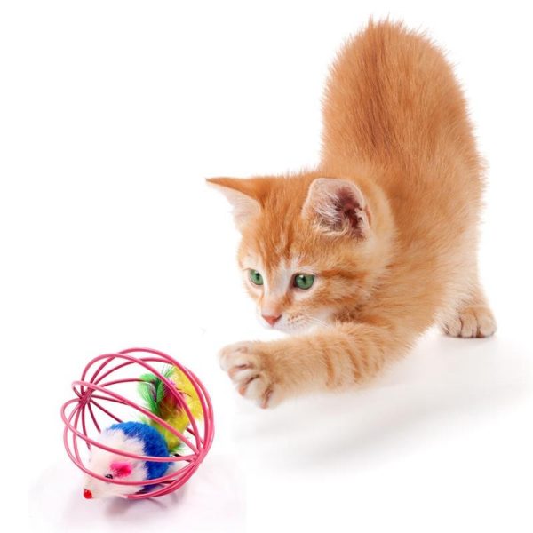 1pc Cat Toy Stick Feather Wand With Bell Mouse Cage Toys Plastic Artificial Colorful Cat Teaser Toy Pet Supplies Random Color - Image 4