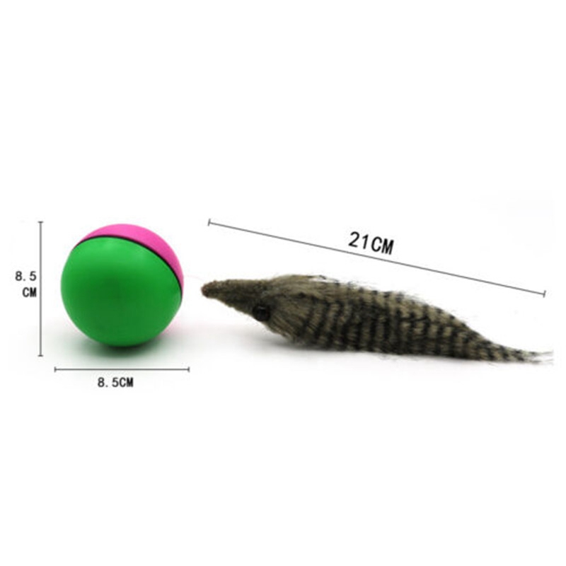 Electric Beaver Weasel Rolling Ball Pet Dog Cat Toy Kitten Chasing Toys Gift - 图片 9