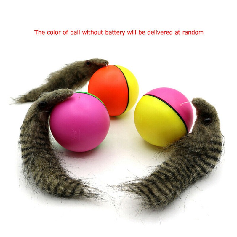 Electric Beaver Weasel Rolling Ball Pet Dog Cat Toy Kitten Chasing Toys Gift