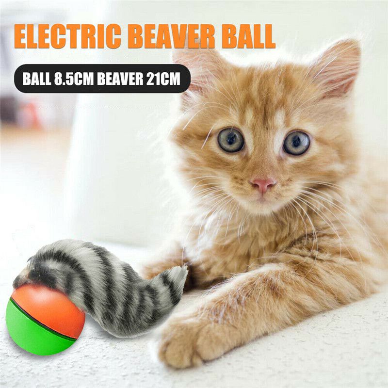Electric Beaver Weasel Rolling Ball Pet Dog Cat Toy Kitten Chasing Toys Gift - 图片 11