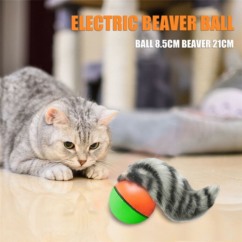 Electric Beaver Weasel Rolling Ball Pet Dog Cat Toy Kitten Chasing Toys Gift - 图片 12
