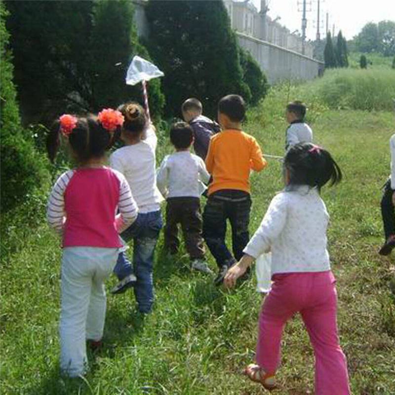 Childrens Kids Extendable Net Telescopic Sea Fishing Bug Butterfly Catcher Mesh - Image 3