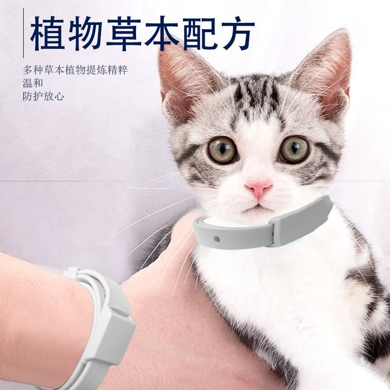 Adjustable Puppy Anti Flea Tick Neck Collar Small Large Dog Cat Kitten - 图片 3