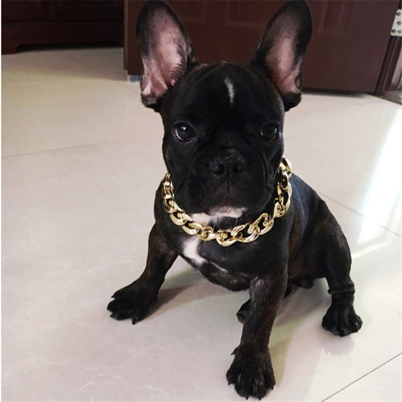 Gold/Silver/Rose Gold/Black Necklace Collar Pet Choke Chain Small Cat Dog Bulldog Puppy Teddy V - Image 5