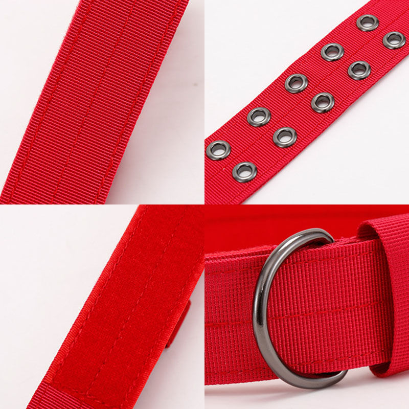 Wear-Resistant Five-Gear Adjustable Pin Buckle Pet Collar Dog Collar Medium Large Dog - Image 4