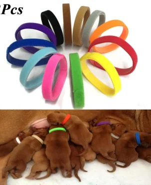 12 Pcs/Set Puppy Newborn Pets Identify Collars Adjustable Nylon Small Pet Dog Collars Kitten Necklace Whelping Puppy Collars