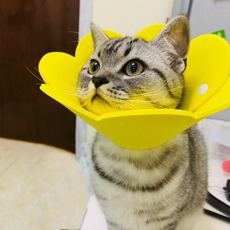 Pet Dog Cat Recovery Collar Anti-bite Soft Neck Cone Wound Healing Protection - Image 6