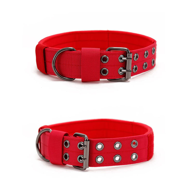 Wear-Resistant Five-Gear Adjustable Pin Buckle Pet Collar Dog Collar Medium Large Dog - Image 5