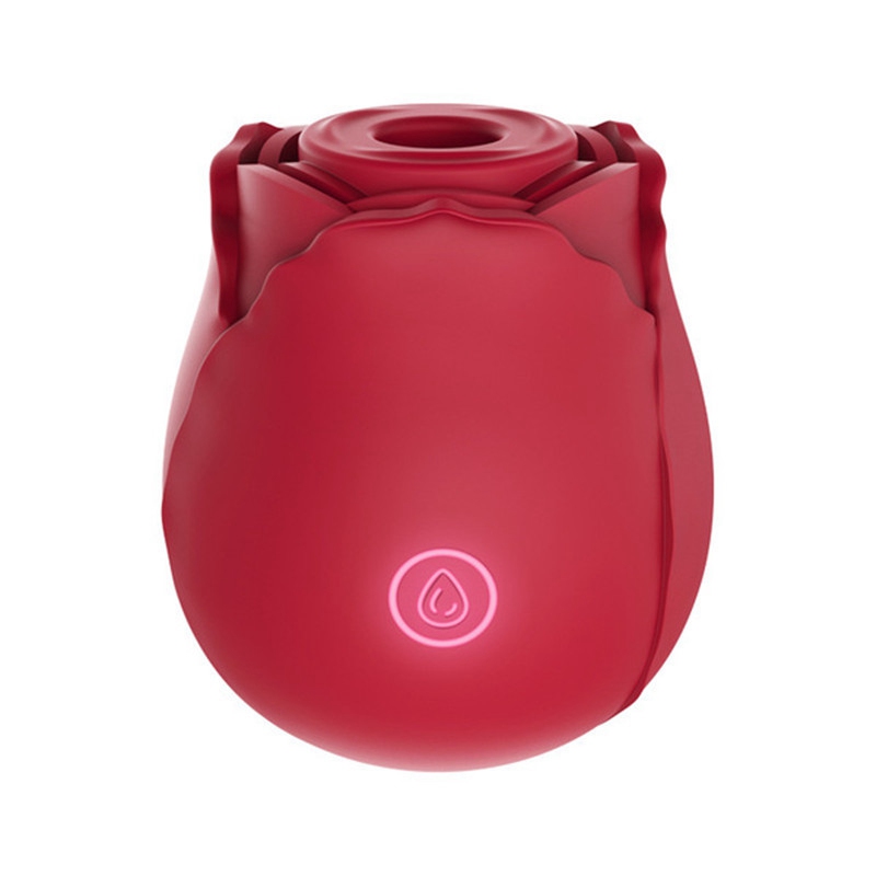 Rose Sucking Vibrator Clit Sucker Female Dildo G spot Massager Sex Toy for Women - 图片 21