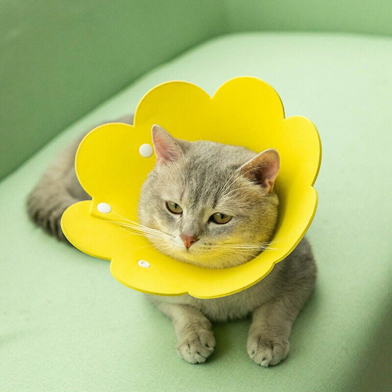 Pet Dog Cat Recovery Collar Anti-bite Soft Neck Cone Wound Healing Protection - Image 9