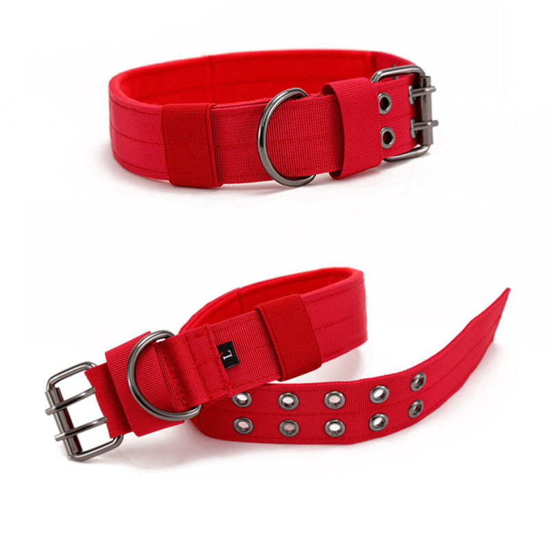 Wear-Resistant Five-Gear Adjustable Pin Buckle Pet Collar Dog Collar Medium Large Dog - Image 6