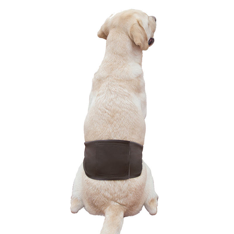 Dog Pet Menstrual Panties Sanitary Panty Dog Clothes Diapers Male Dog Menstrual Panties - 图片 33