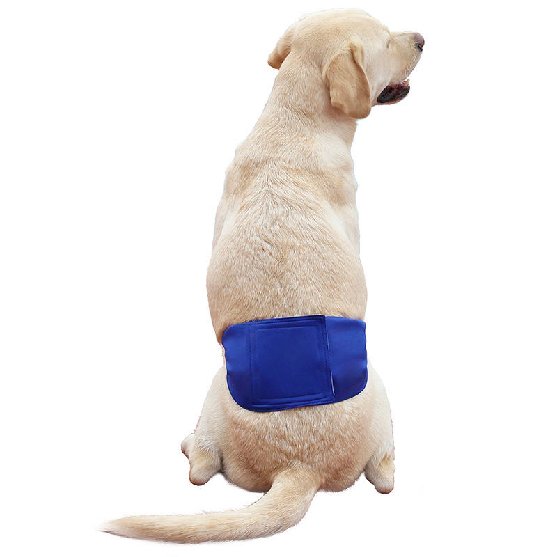Dog Pet Menstrual Panties Sanitary Panty Dog Clothes Diapers Male Dog Menstrual Panties - 图片 34