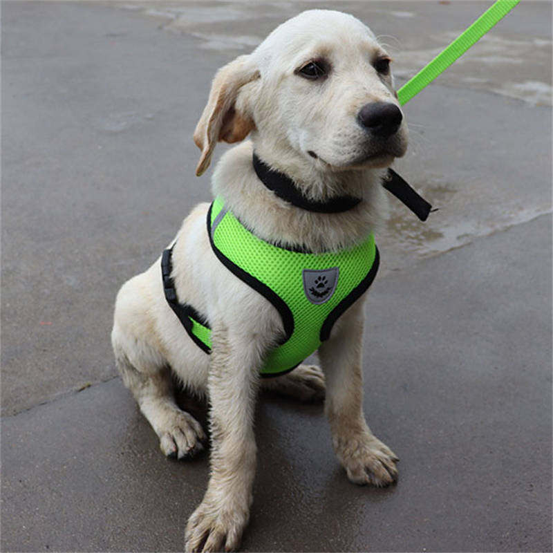 Dog Rope Pet Harness Dog Collar Outing Vest Dog Walking Artifact Dog Hand Holding Rope - 图片 13