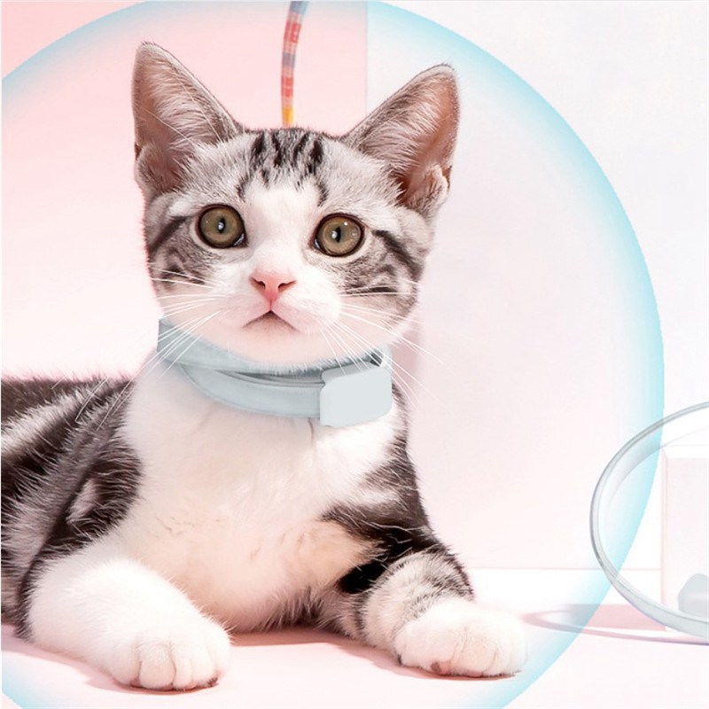 Adjustable Puppy Anti Flea Tick Neck Collar Small Large Dog Cat Kitten - 图片 10