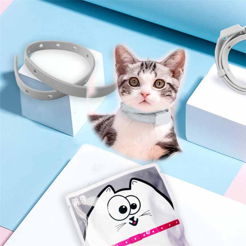 Adjustable Puppy Anti Flea Tick Neck Collar Small Large Dog Cat Kitten - 图片 18