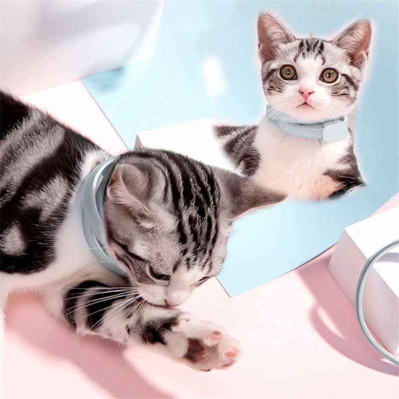 Adjustable Puppy Anti Flea Tick Neck Collar Small Large Dog Cat Kitten - 图片 19