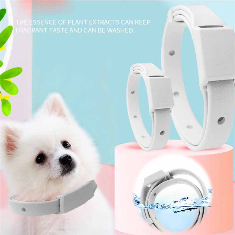 Adjustable Puppy Anti Flea Tick Neck Collar Small Large Dog Cat Kitten - 图片 20