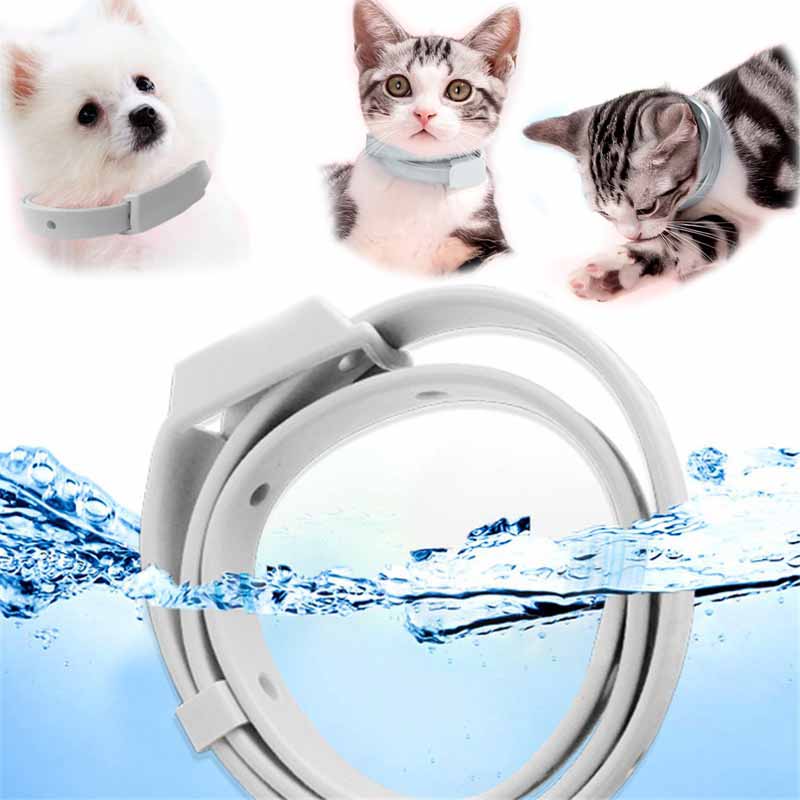 Adjustable Puppy Anti Flea Tick Neck Collar Small Large Dog Cat Kitten - 图片 21