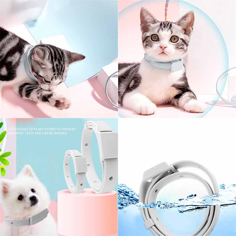 Adjustable Puppy Anti Flea Tick Neck Collar Small Large Dog Cat Kitten - 图片 22
