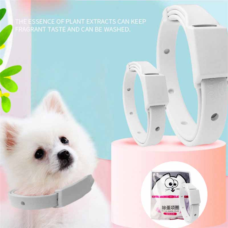 Adjustable Puppy Anti Flea Tick Neck Collar Small Large Dog Cat Kitten - 图片 23