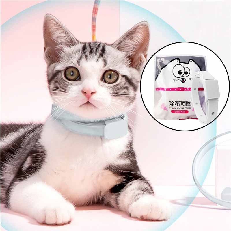 Adjustable Puppy Anti Flea Tick Neck Collar Small Large Dog Cat Kitten - 图片 24