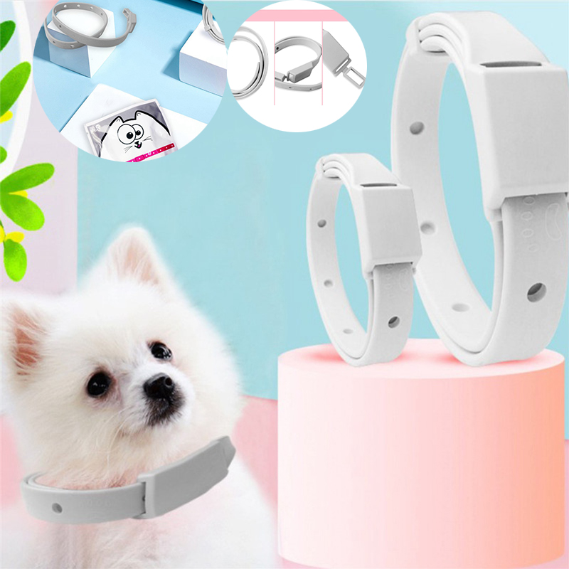 Adjustable Puppy Anti Flea Tick Neck Collar Small Large Dog Cat Kitten - 图片 13