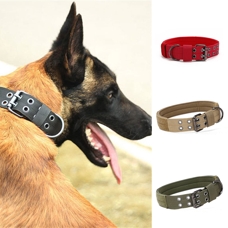 Wear-Resistant Five-Gear Adjustable Pin Buckle Pet Collar Dog Collar Medium Large Dog - Image 14