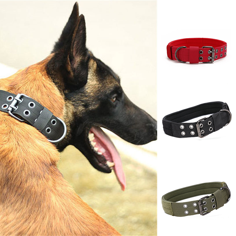 Wear-Resistant Five-Gear Adjustable Pin Buckle Pet Collar Dog Collar Medium Large Dog - Image 15
