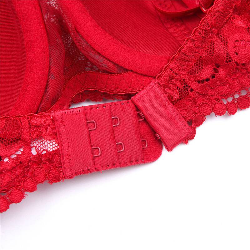 Embroidery Lace Bra Underwire Push Up Sexy Half Cup Brassiere for Women - 图片 10