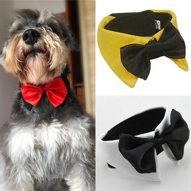 Dog Cat Pet Bow Tie Bowknot Neck Accessory Puppy Dickie Necktie Necklace Collar - Image 6
