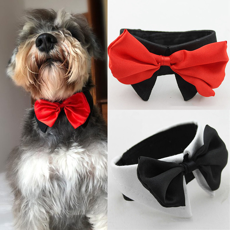 Dog Cat Pet Bow Tie Bowknot Neck Accessory Puppy Dickie Necktie Necklace Collar - Image 9