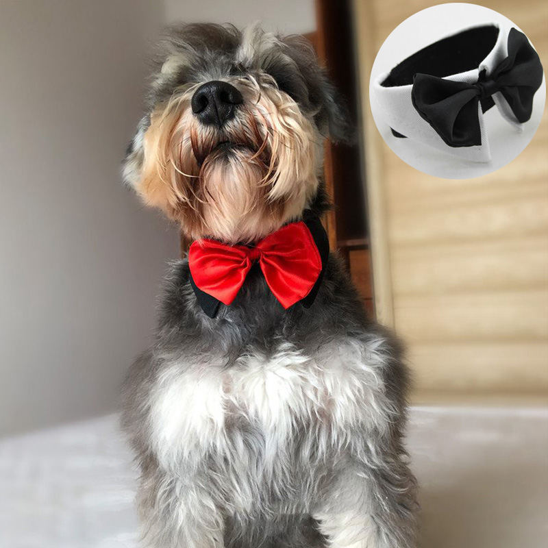 Dog Cat Pet Bow Tie Bowknot Neck Accessory Puppy Dickie Necktie Necklace Collar - Image 7