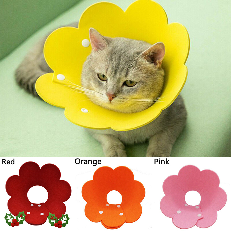 Pet Dog Cat Recovery Collar Anti-bite Soft Neck Cone Wound Healing Protection - Image 19