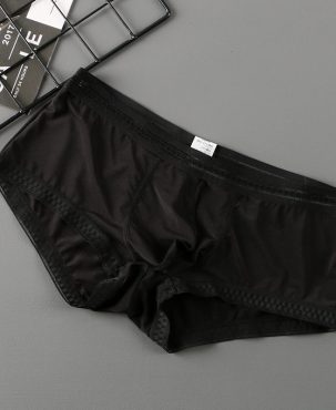 Net General 22 Summer New Translucent Ice Silk Underwear Men Sexy Men Boxer Briefs Youth Underwear Men