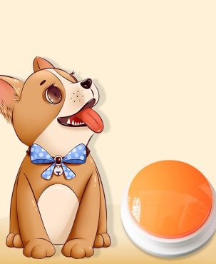 1X Pet Dog Talking Starter Dog Recording Button Training Speaking Tools Pet Toy